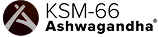 ksm-66_Logo 1
